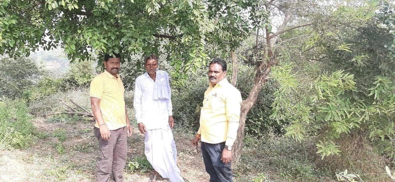 Authentic Sandalwood